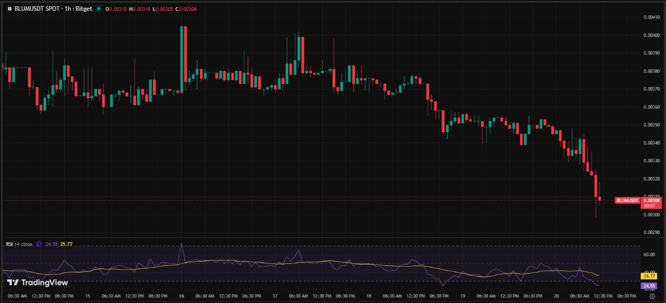 Blum Price chart Blum Price chart