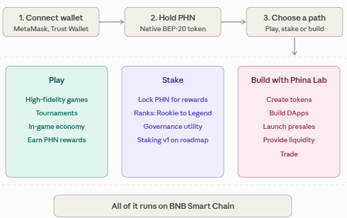 How does Phina Network work in everyday use How does Phina Network work in everyday use
