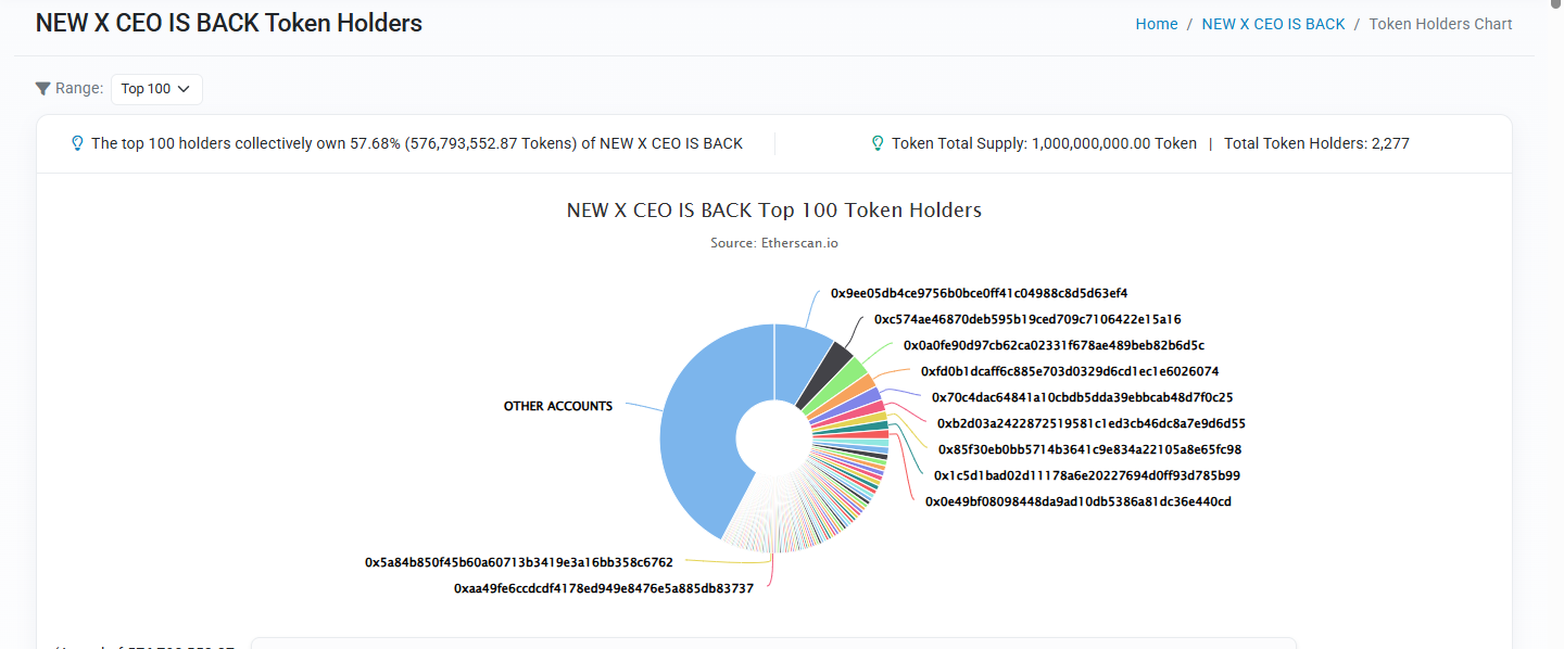 XFLOKI top holders distribution concentration Etherscan token data XFLOKI top holders distribution concentration Etherscan token data