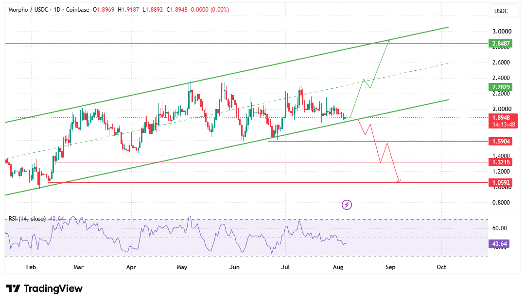 Morpho price prediction chart