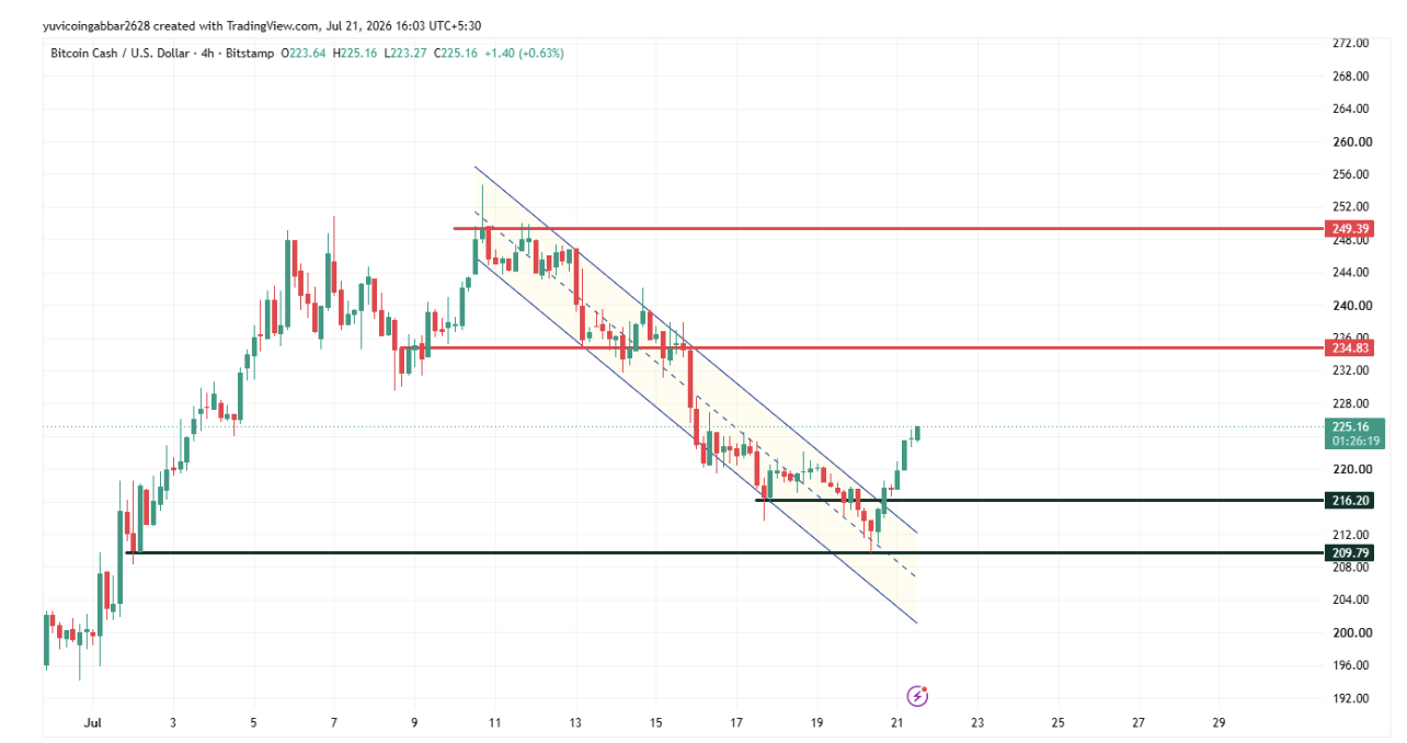 BCH Short-Term Chart Analysis 