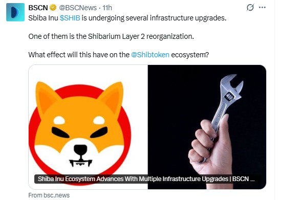 Shiba Inu News Today Shiba Inu News Today