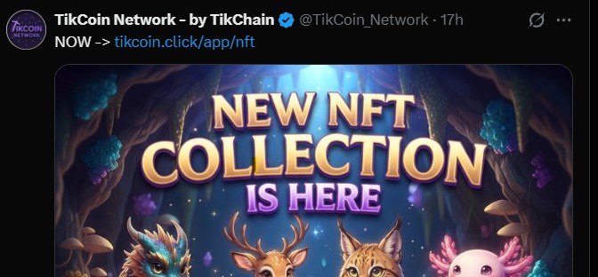 Tikcoin Network NFT Collection