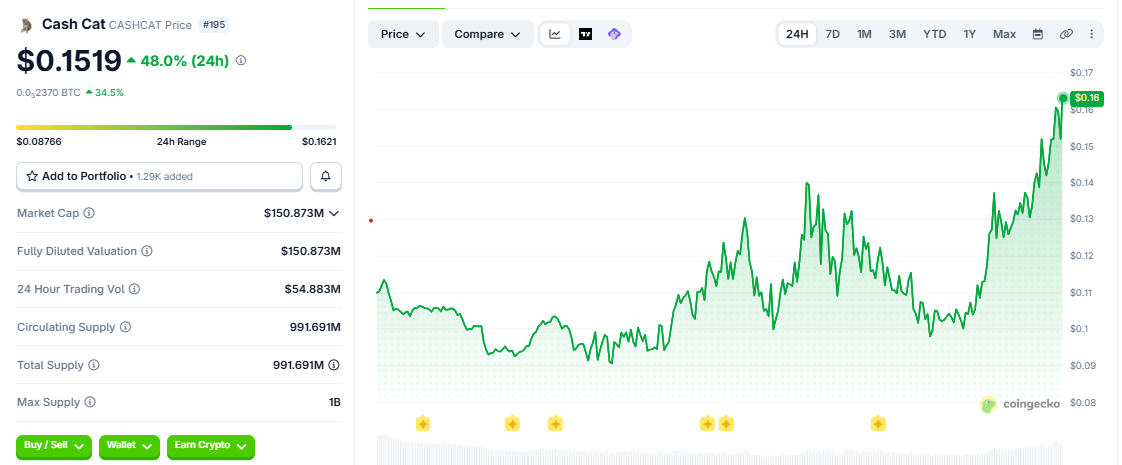 CASHCAT/USD price chart today