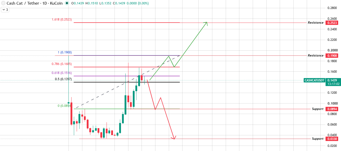 Daily Chart Analysis for CashCat