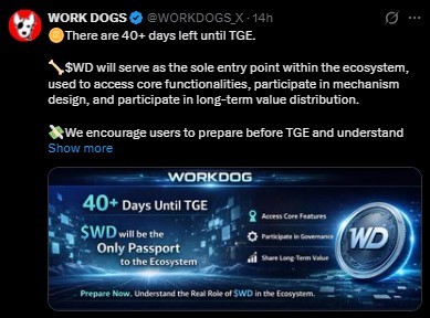 WD TGE in Final Phase WD TGE in Final Phase