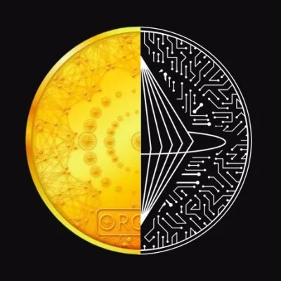 ORGON IEO on Coinstore launchpad August 2026 token sale