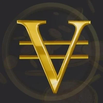 Vicey Network