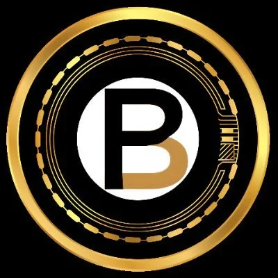 Black Pound Coin