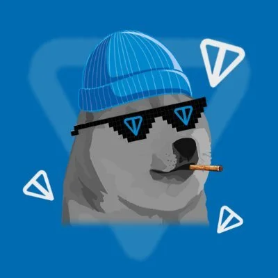 Doge ton chain New crypto presale