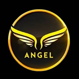 Angel Network