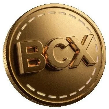 Big coin ($BCX) ICO