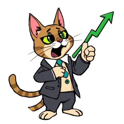 Stonkcat presale SCAT token Ethereum meme coin review