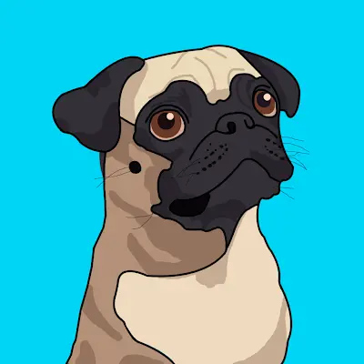 PUG ICO token sale details and crypto project overview