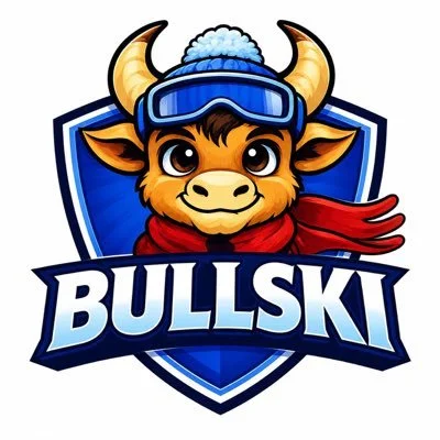 Bullski Coin presale BULLSKI price, stages, tokenomics and risk details