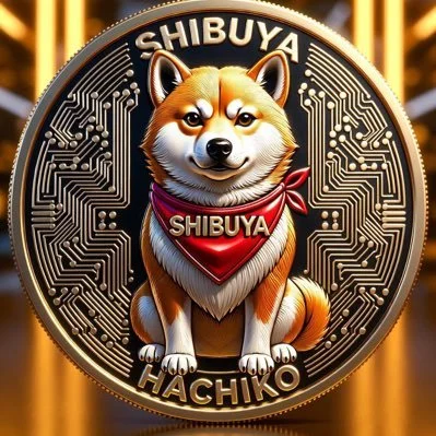 Shibuya presale token sale details and project overview