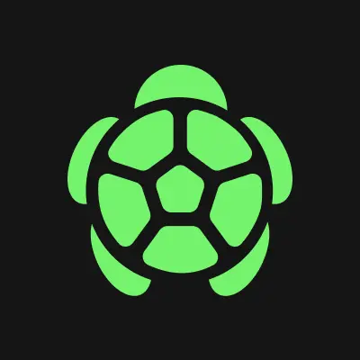 Turtle Turtle