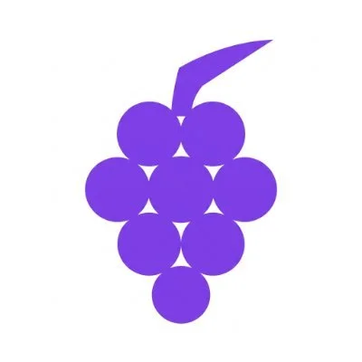 Polgrape Presale PMF Price, Tokenomics, Rounds and Risks
