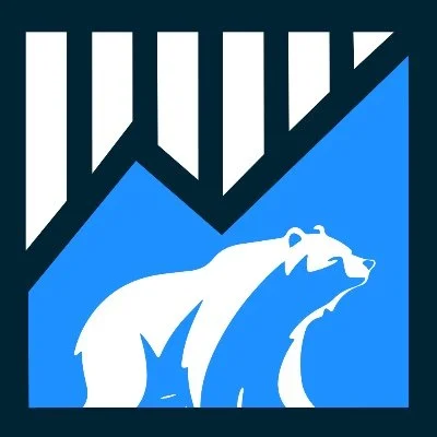Bear Market Coin