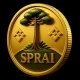 Sprai token Presale Overview and Key Details