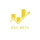 BSCBets presale | Crypto Trading platform