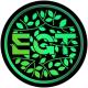 Eco Green Token Presale Review and Key Details