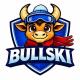 Bullski Coin Presale project Guide