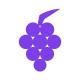 Polgrape Presale PMF Price, Tokenomics, Rounds and Risks