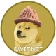 DOGE WIF HAT Presale Overview and Key Details