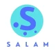 Salamanda Presale Overview and RWA Token Sale Analysis