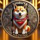 SHIBUYA Presale Review and Key Facts