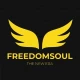 FreedomSoul Presale Overview and key Information