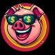 Piggy Bonki new crypto presale : memecoin Project