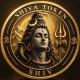 Shivcoin presale SHIV token on BNB Smart Chain BSC