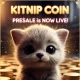 KitNip Presale Overview and Project Details