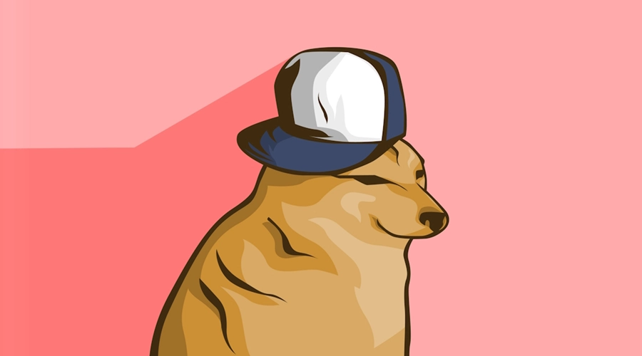 Dogwifhat Millionaire Sparks