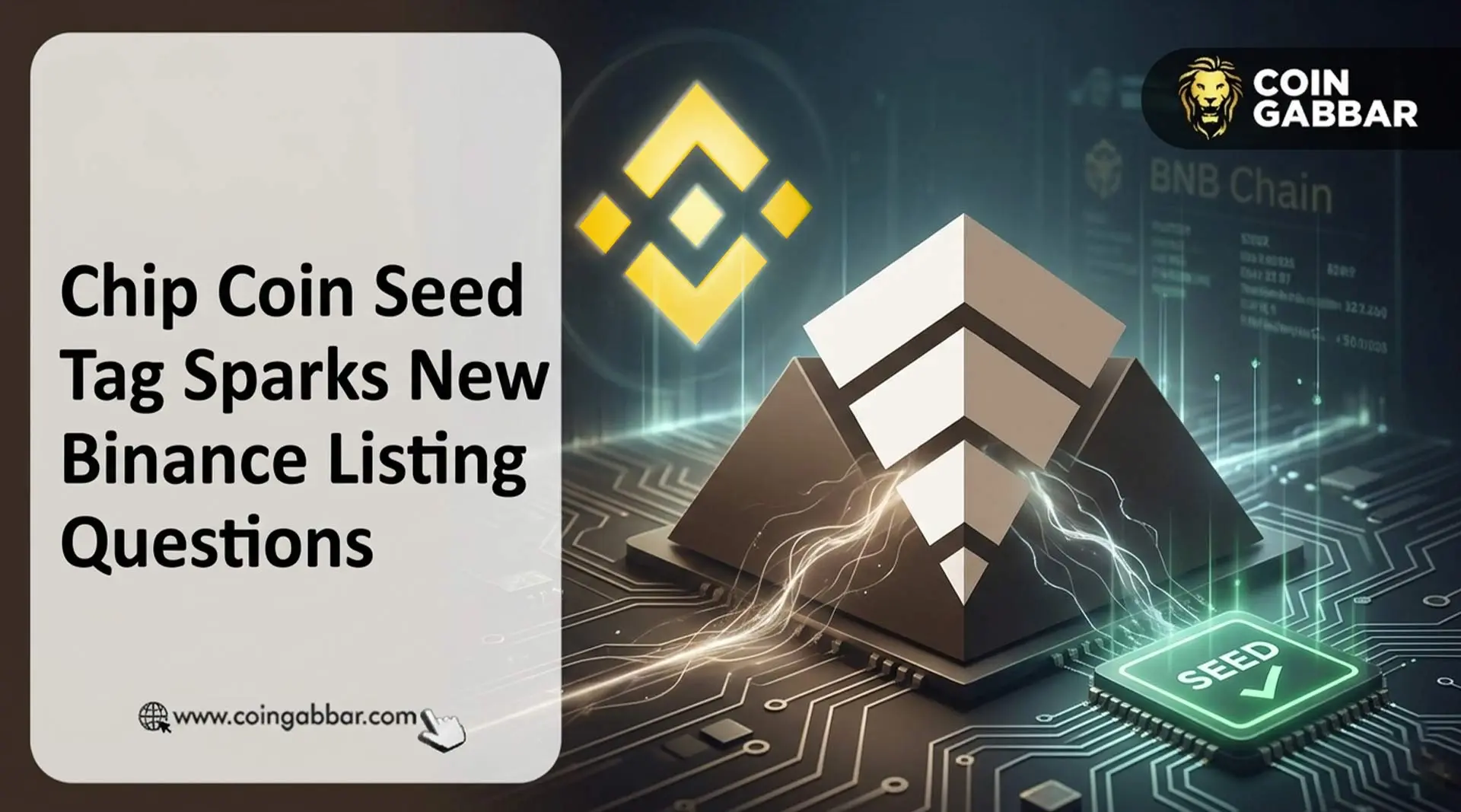 Binance Seed Tag on chip coin listing