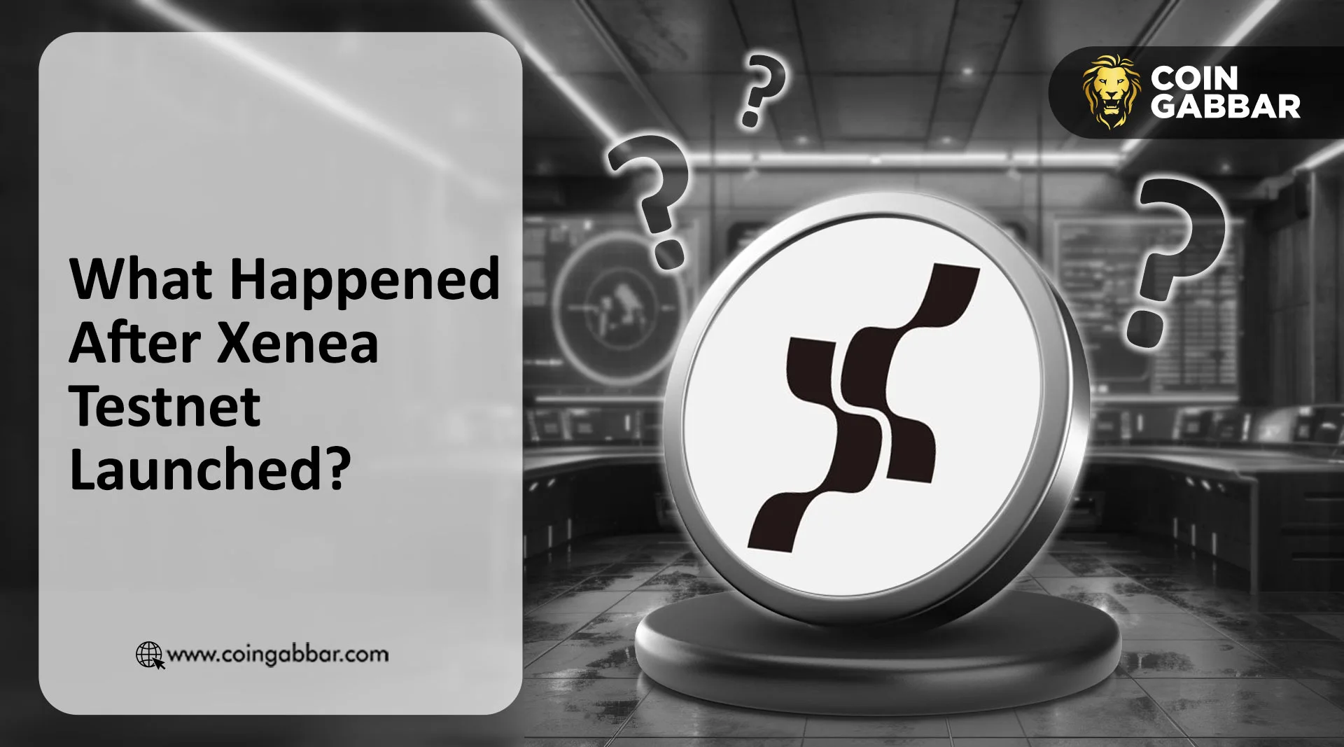 What Happened After Xenea Testnet Launched?