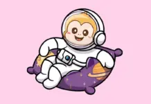 Why Vigilance Matters in the Best Crypto Presales