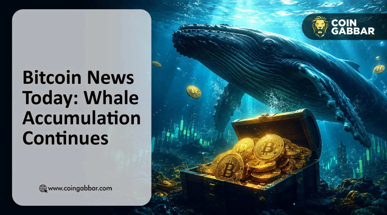 Bitcoin News Today: Whale Accumulation Continues