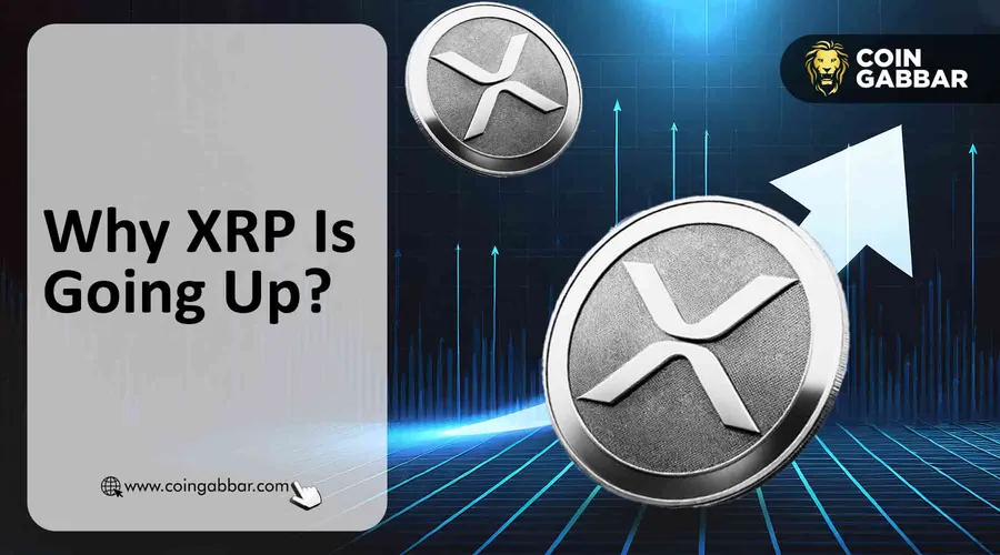 why-ripple-price-is-going-up-what-s-next-for-ripple-xrp