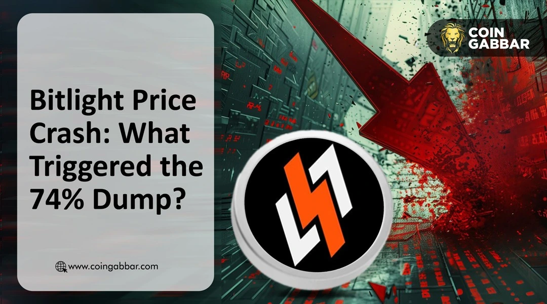 Bitlight Price Crash: What Triggered the 74% Dump?