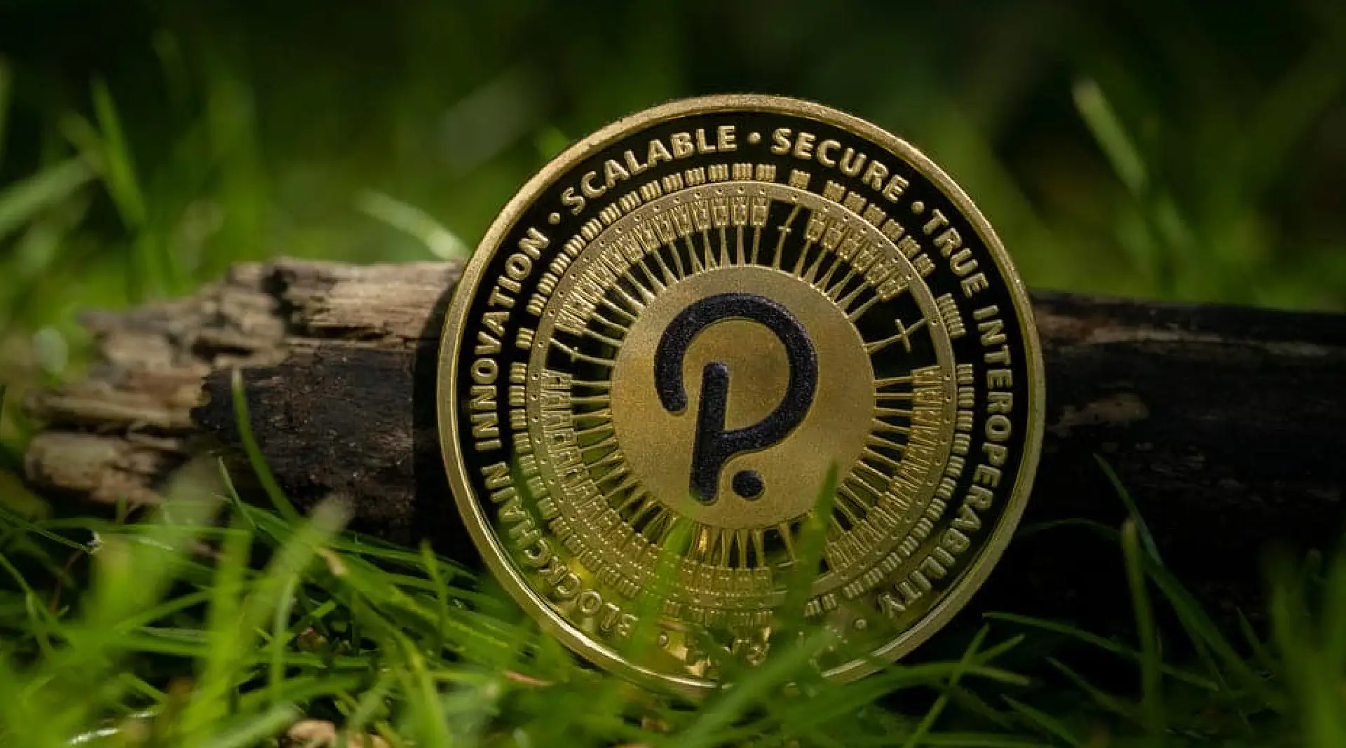 Polkadot BullZilla Presale Top Crypto to Invest