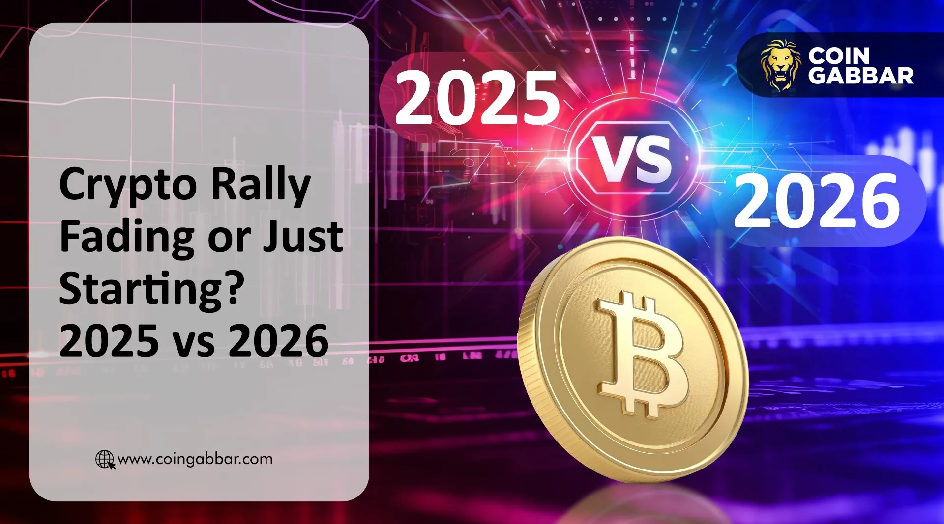 Crypto Market Bull Run