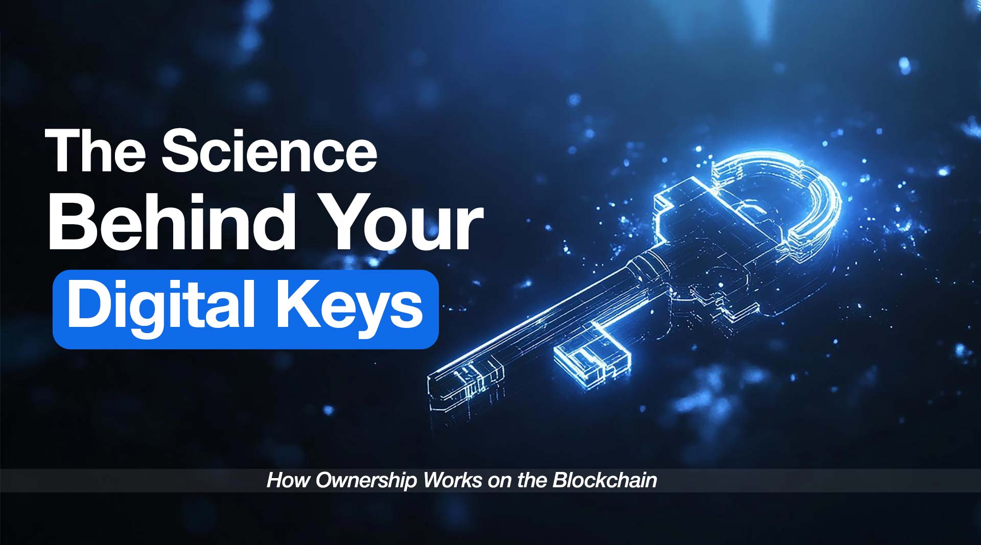 Blockchain Ownership