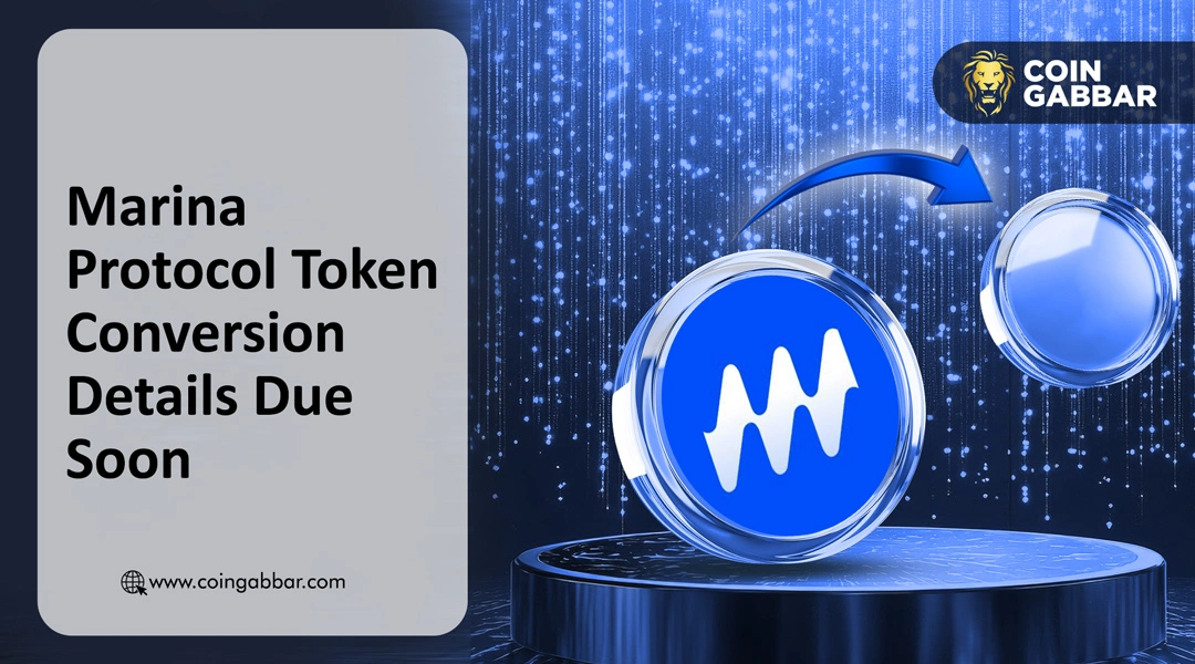 Marina Protocol Token Conversion Details Due Soon