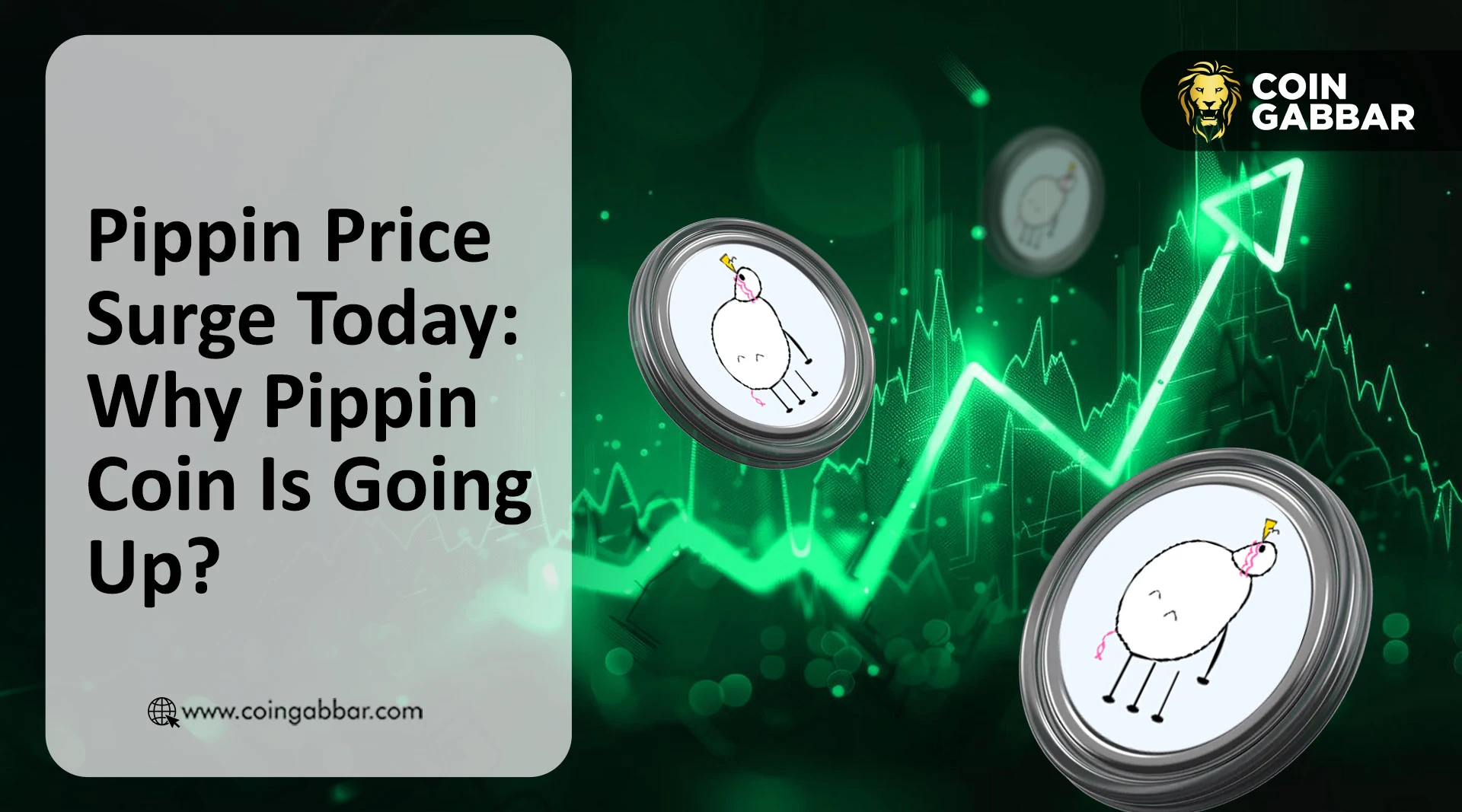 Pippin Price Surge Today: Why Pippin Coin Is Going Up?