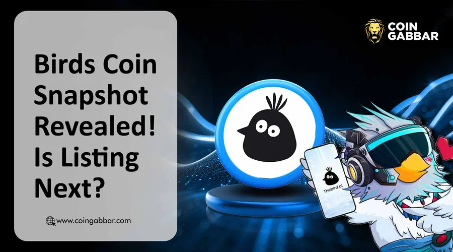 Birds Coin Snapshot Revealed! Is Listing Next?
