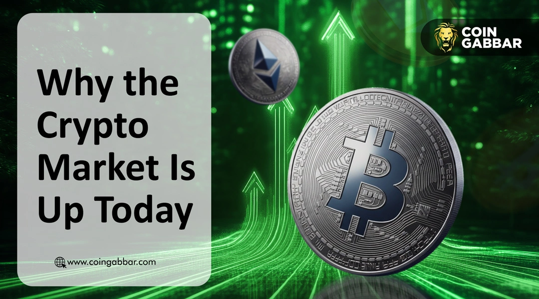 Why is Crypto Market Up Today? BTC and Altcoins Rally