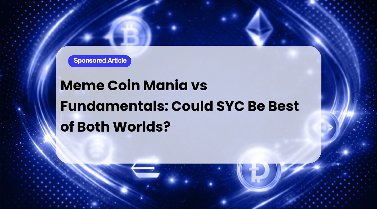 Meme Coin Mania v Fundamental Plays